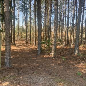 Photo #47 of SOLD property in 30093 Millfield Rd, Wakefield, VA 89.5 acres