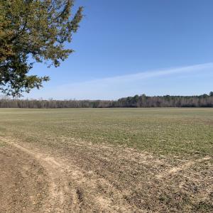 Photo #48 of SOLD property in 30093 Millfield Rd, Wakefield, VA 89.5 acres