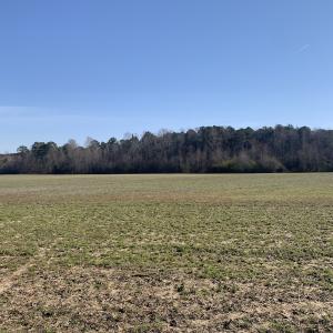 Photo #49 of SOLD property in 30093 Millfield Rd, Wakefield, VA 89.5 acres
