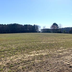 Photo #50 of SOLD property in 30093 Millfield Rd, Wakefield, VA 89.5 acres