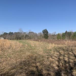 Photo #51 of SOLD property in 30093 Millfield Rd, Wakefield, VA 89.5 acres