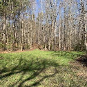 Photo #58 of SOLD property in 30093 Millfield Rd, Wakefield, VA 89.5 acres