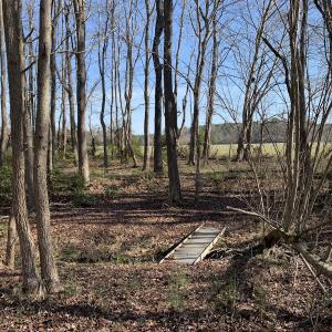 Photo #61 of SOLD property in 30093 Millfield Rd, Wakefield, VA 89.5 acres