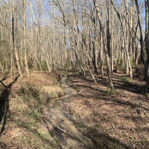 Photo #62 of SOLD property in 30093 Millfield Rd, Wakefield, VA 89.5 acres