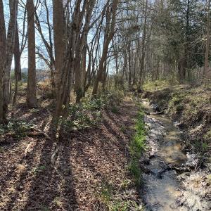 Photo #63 of SOLD property in 30093 Millfield Rd, Wakefield, VA 89.5 acres