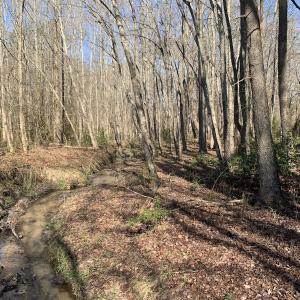 Photo #64 of SOLD property in 30093 Millfield Rd, Wakefield, VA 89.5 acres