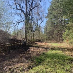 Photo #65 of SOLD property in 30093 Millfield Rd, Wakefield, VA 89.5 acres