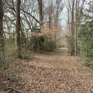 Photo #70 of SOLD property in 30093 Millfield Rd, Wakefield, VA 89.5 acres