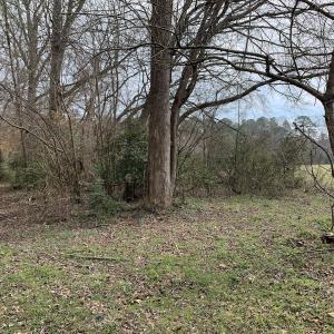 Photo #71 of SOLD property in 30093 Millfield Rd, Wakefield, VA 89.5 acres