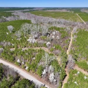 Photo #2 of SOLD property in Off Ernest Turner Road, Warrenton, NC 5.3 acres