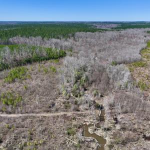 Photo #11 of SOLD property in Off Ernest Turner Road, Warrenton, NC 5.3 acres