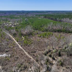 Photo #12 of SOLD property in Off Ernest Turner Road, Warrenton, NC 5.3 acres