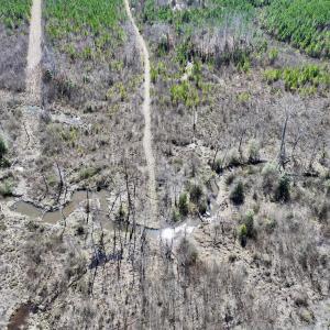 Photo #14 of SOLD property in Off Ernest Turner Road, Warrenton, NC 5.3 acres