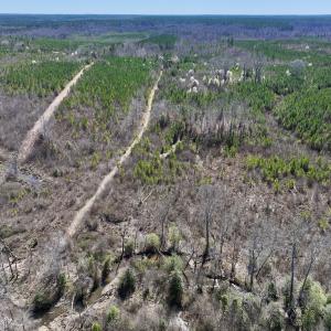 Photo #15 of SOLD property in Off Ernest Turner Road, Warrenton, NC 5.3 acres