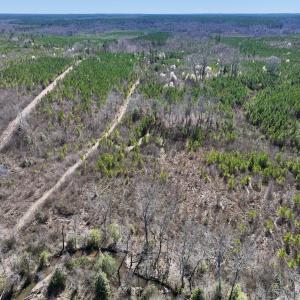 Photo #16 of SOLD property in Off Ernest Turner Road, Warrenton, NC 5.3 acres