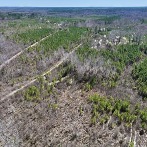 Photo #17 of SOLD property in Off Ernest Turner Road, Warrenton, NC 5.3 acres