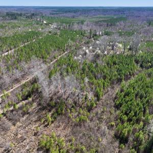 Photo #18 of SOLD property in Off Ernest Turner Road, Warrenton, NC 5.3 acres