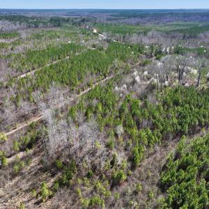 Photo #19 of SOLD property in Off Ernest Turner Road, Warrenton, NC 5.3 acres