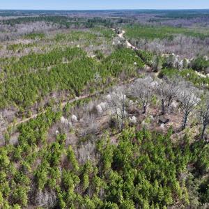 Photo #20 of SOLD property in Off Ernest Turner Road, Warrenton, NC 5.3 acres