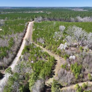 Photo #3 of SOLD property in Off Ernest Turner Road, Warrenton, NC 5.3 acres
