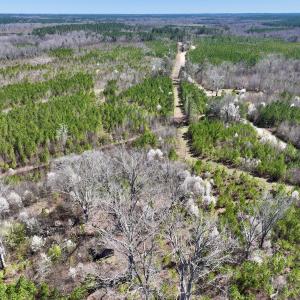 Photo #21 of SOLD property in Off Ernest Turner Road, Warrenton, NC 5.3 acres
