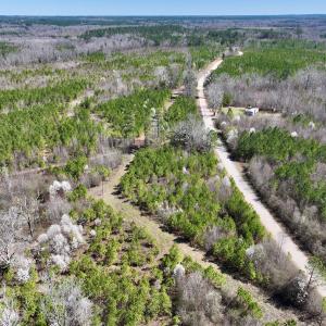 Photo #22 of SOLD property in Off Ernest Turner Road, Warrenton, NC 5.3 acres