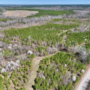 Photo #23 of SOLD property in Off Ernest Turner Road, Warrenton, NC 5.3 acres