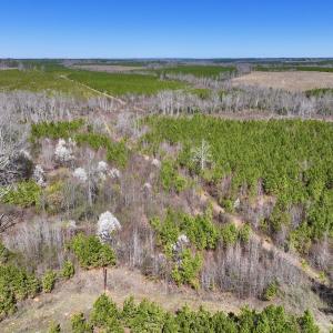 Photo #24 of SOLD property in Off Ernest Turner Road, Warrenton, NC 5.3 acres