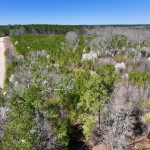 Photo #25 of SOLD property in Off Ernest Turner Road, Warrenton, NC 5.3 acres