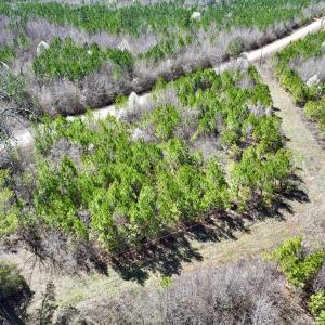 Photo #26 of SOLD property in Off Ernest Turner Road, Warrenton, NC 5.3 acres