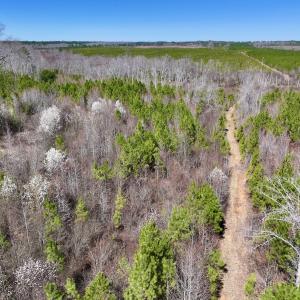 Photo #27 of SOLD property in Off Ernest Turner Road, Warrenton, NC 5.3 acres