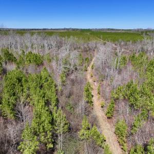 Photo #28 of SOLD property in Off Ernest Turner Road, Warrenton, NC 5.3 acres