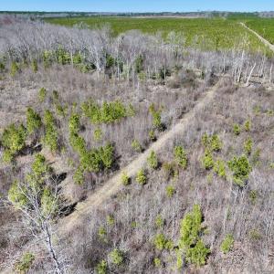 Photo #29 of SOLD property in Off Ernest Turner Road, Warrenton, NC 5.3 acres