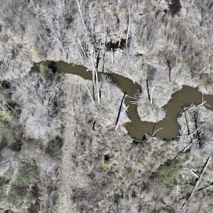 Photo #30 of SOLD property in Off Ernest Turner Road, Warrenton, NC 5.3 acres