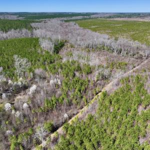 Photo #4 of SOLD property in Off Ernest Turner Road, Warrenton, NC 5.3 acres