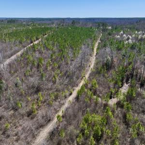 Photo #31 of SOLD property in Off Ernest Turner Road, Warrenton, NC 5.3 acres