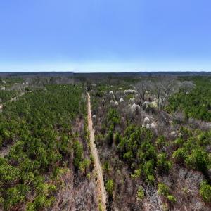 Photo #33 of SOLD property in Off Ernest Turner Road, Warrenton, NC 5.3 acres
