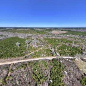 Photo #34 of SOLD property in Off Ernest Turner Road, Warrenton, NC 5.3 acres