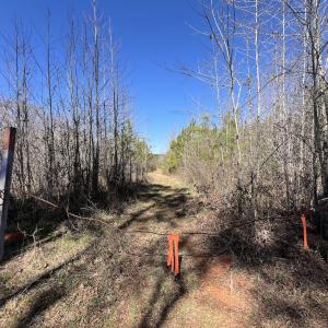 Photo #35 of SOLD property in Off Ernest Turner Road, Warrenton, NC 5.3 acres