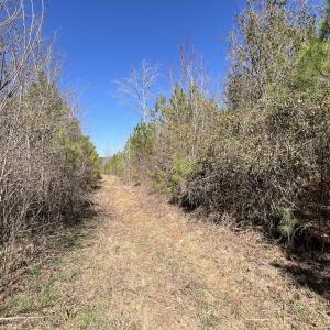 Photo #36 of SOLD property in Off Ernest Turner Road, Warrenton, NC 5.3 acres