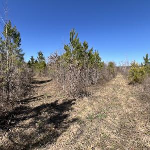 Photo #37 of SOLD property in Off Ernest Turner Road, Warrenton, NC 5.3 acres