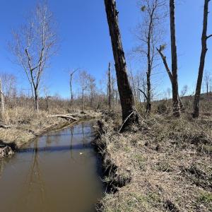 Photo #38 of SOLD property in Off Ernest Turner Road, Warrenton, NC 5.3 acres