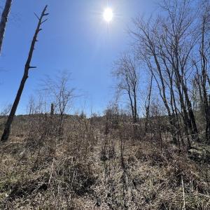 Photo #40 of SOLD property in Off Ernest Turner Road, Warrenton, NC 5.3 acres