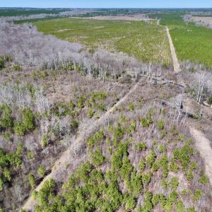 Photo #5 of SOLD property in Off Ernest Turner Road, Warrenton, NC 5.3 acres