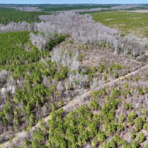 Photo #6 of SOLD property in Off Ernest Turner Road, Warrenton, NC 5.3 acres