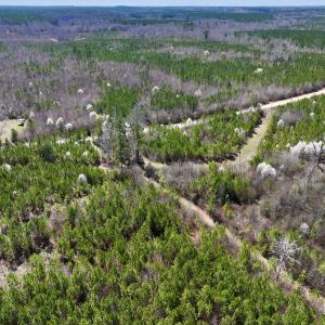 Photo #8 of SOLD property in Off Ernest Turner Road, Warrenton, NC 5.3 acres
