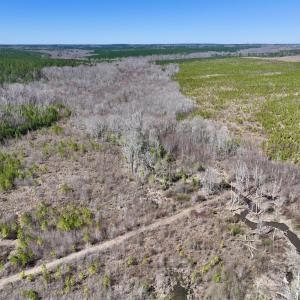Photo #10 of SOLD property in Off Ernest Turner Road, Warrenton, NC 5.3 acres