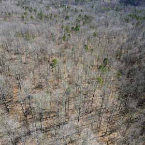 Photo #11 of SOLD property in Off Blackberry Rd, Bassett, VA 115.4 acres
