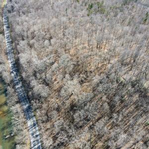 Photo #13 of SOLD property in Off Blackberry Rd, Bassett, VA 115.4 acres