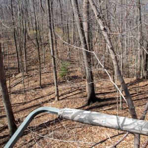 Photo #17 of SOLD property in Off Blackberry Rd, Bassett, VA 115.4 acres